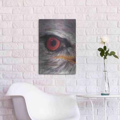 Luxe Metal Art 'Eye Catching Kite' by Barbara Keith, Metal Wall Art,16x24