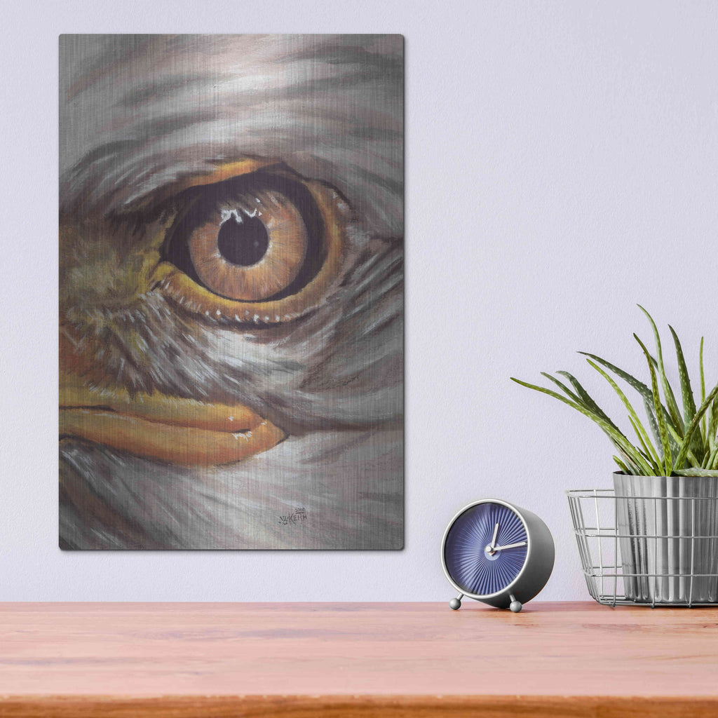 Luxe Metal Art 'Eye-Catching Bald Eagle' by Barbara Keith, Metal Wall Art,12x16