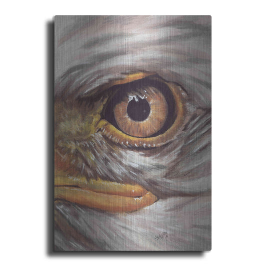 Luxe Metal Art 'Eye-Catching Bald Eagle' by Barbara Keith, Metal Wall Art