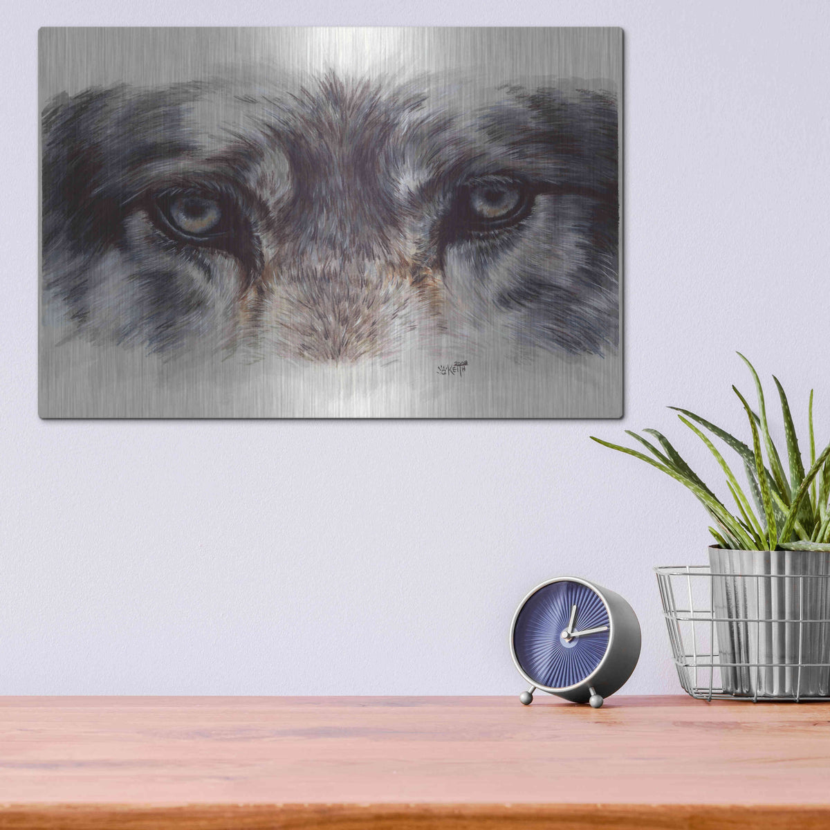 Luxe Metal Art 'Eye-Catching Wolf' by Barbara Keith, Metal Wall Art,16x12
