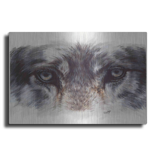 Luxe Metal Art 'Eye-Catching Wolf' by Barbara Keith, Metal Wall Art