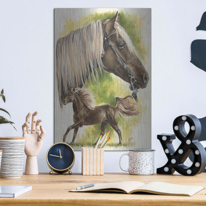 Luxe Metal Art 'Rocky Mountain Horse' by Barbara Keith, Metal Wall Art,12x16