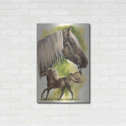 Luxe Metal Art 'Rocky Mountain Horse' by Barbara Keith, Metal Wall Art,24x36