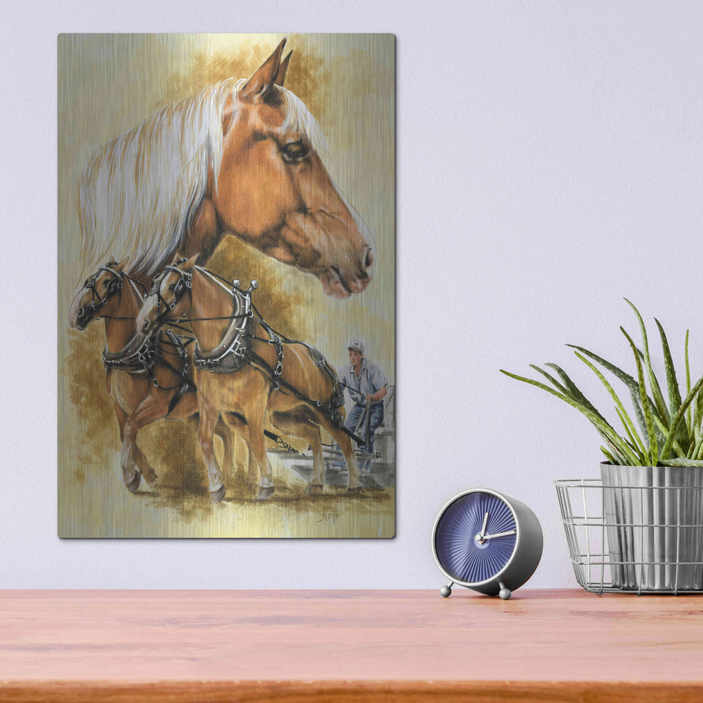 Luxe Metal Art 'Belgian' by Barbara Keith, Metal Wall Art,12x16