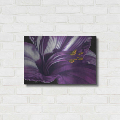 Luxe Metal Art 'Amethyst' by Barbara Keith, Metal Wall Art,24x16