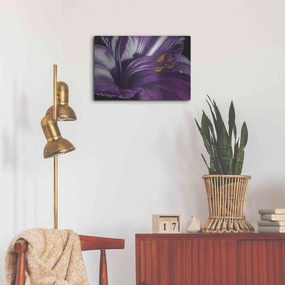 Luxe Metal Art 'Amethyst' by Barbara Keith, Metal Wall Art,24x16