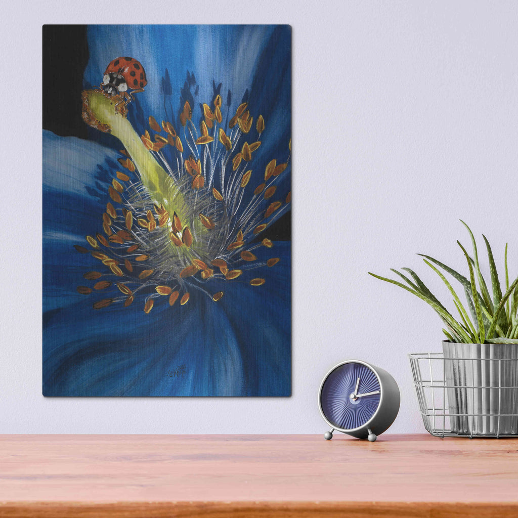 Luxe Metal Art 'Lazuline' by Barbara Keith, Metal Wall Art,12x16