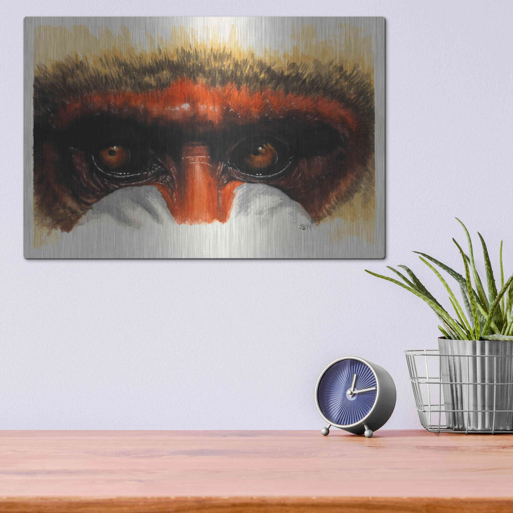 Luxe Metal Art 'Eye-Catching' by Barbara Keith, Metal Wall Art,16x12