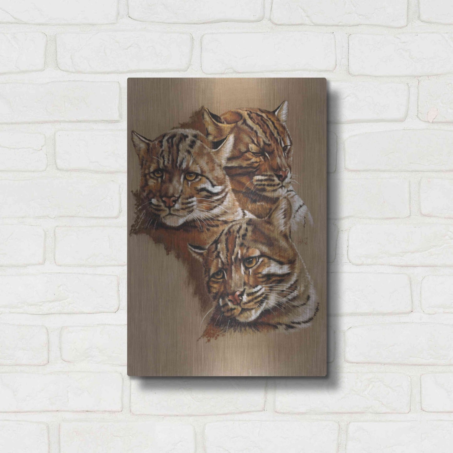 Luxe Metal Art 'Fire Cat' by Barbara Keith, Metal Wall Art,12x16