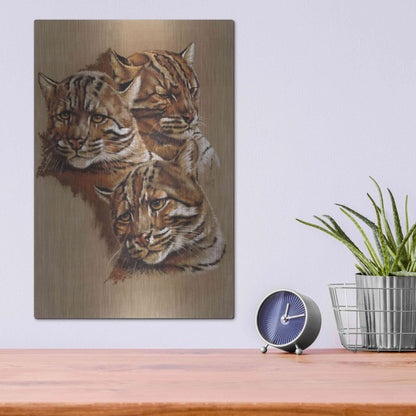 Luxe Metal Art 'Fire Cat' by Barbara Keith, Metal Wall Art,12x16