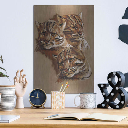 Luxe Metal Art 'Fire Cat' by Barbara Keith, Metal Wall Art,12x16