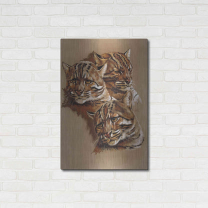 Luxe Metal Art 'Fire Cat' by Barbara Keith, Metal Wall Art,24x36