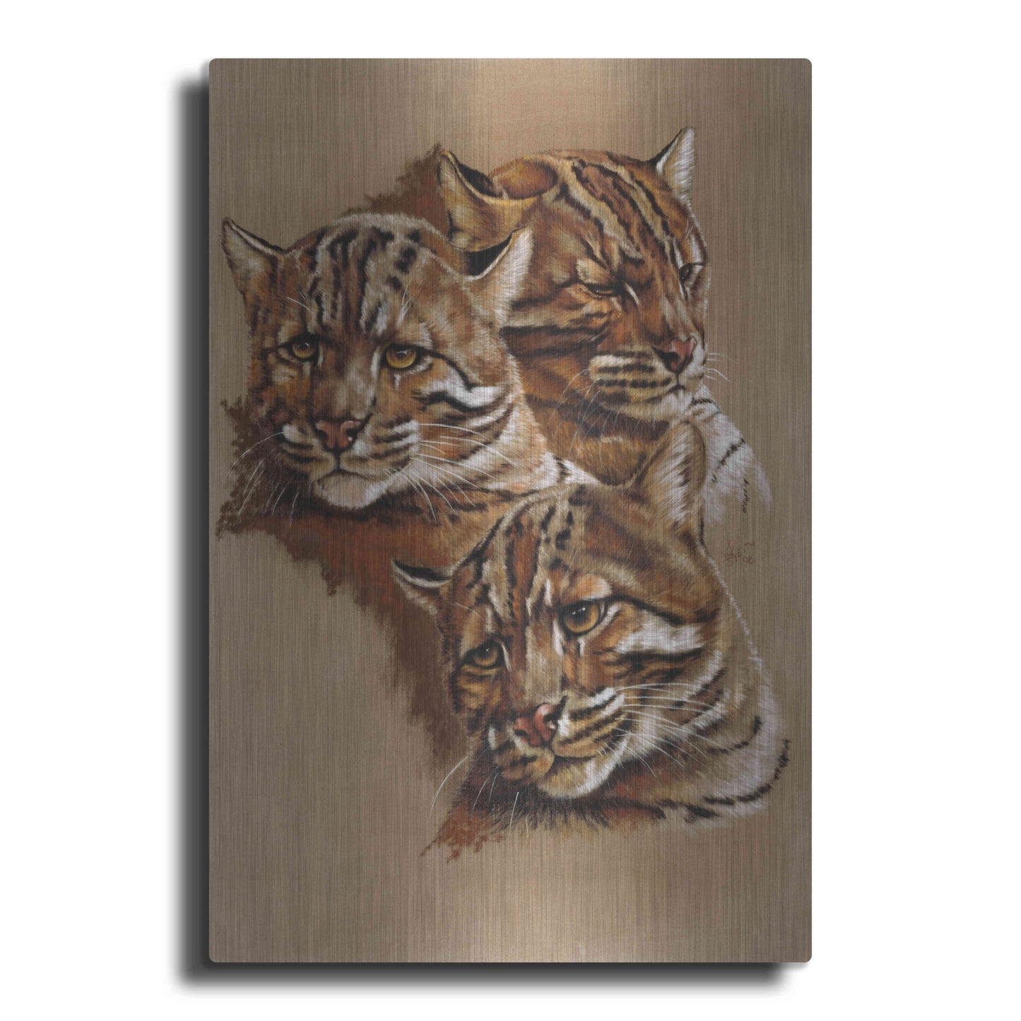 Luxe Metal Art 'Fire Cat' by Barbara Keith, Metal Wall Art