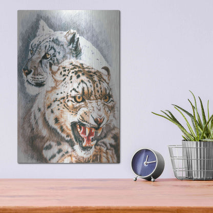 Luxe Metal Art 'Savage Perfection' by Barbara Keith, Metal Wall Art,12x16