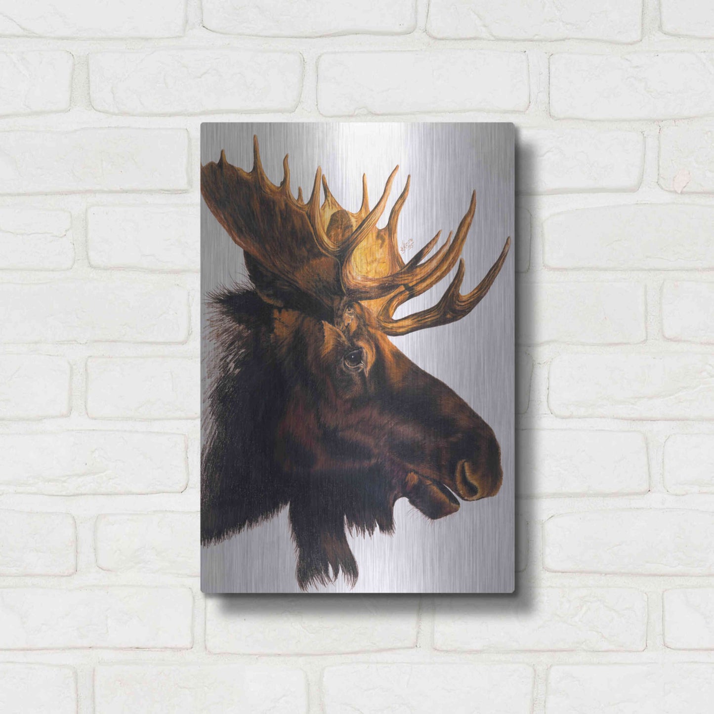 Luxe Metal Art 'Bullwinkle' by Barbara Keith, Metal Wall Art,12x16