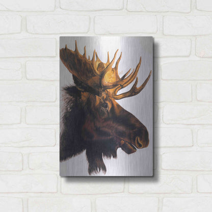 Luxe Metal Art 'Bullwinkle' by Barbara Keith, Metal Wall Art,12x16