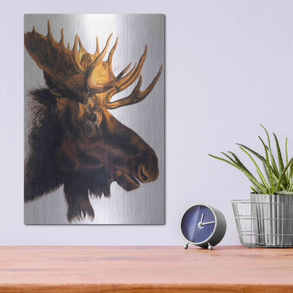 Luxe Metal Art 'Bullwinkle' by Barbara Keith, Metal Wall Art,12x16