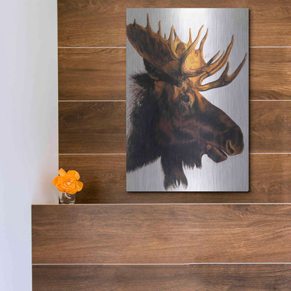 Luxe Metal Art 'Bullwinkle' by Barbara Keith, Metal Wall Art,12x16