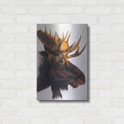 Luxe Metal Art 'Bullwinkle' by Barbara Keith, Metal Wall Art,16x24