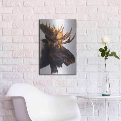 Luxe Metal Art 'Bullwinkle' by Barbara Keith, Metal Wall Art,16x24