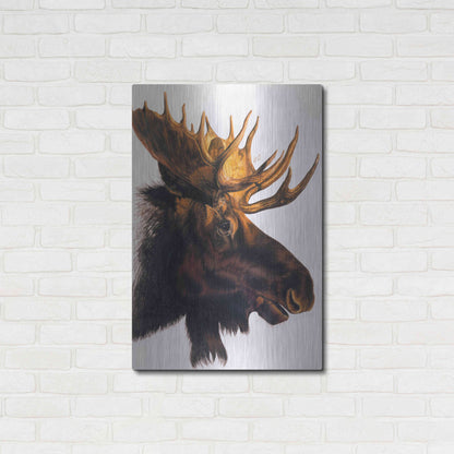 Luxe Metal Art 'Bullwinkle' by Barbara Keith, Metal Wall Art,24x36