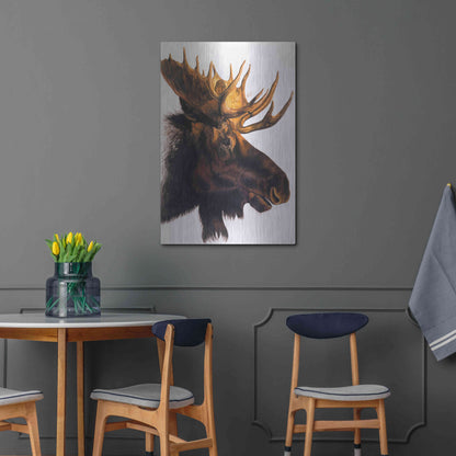 Luxe Metal Art 'Bullwinkle' by Barbara Keith, Metal Wall Art,24x36