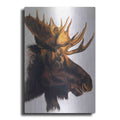Luxe Metal Art 'Bullwinkle' by Barbara Keith, Metal Wall Art