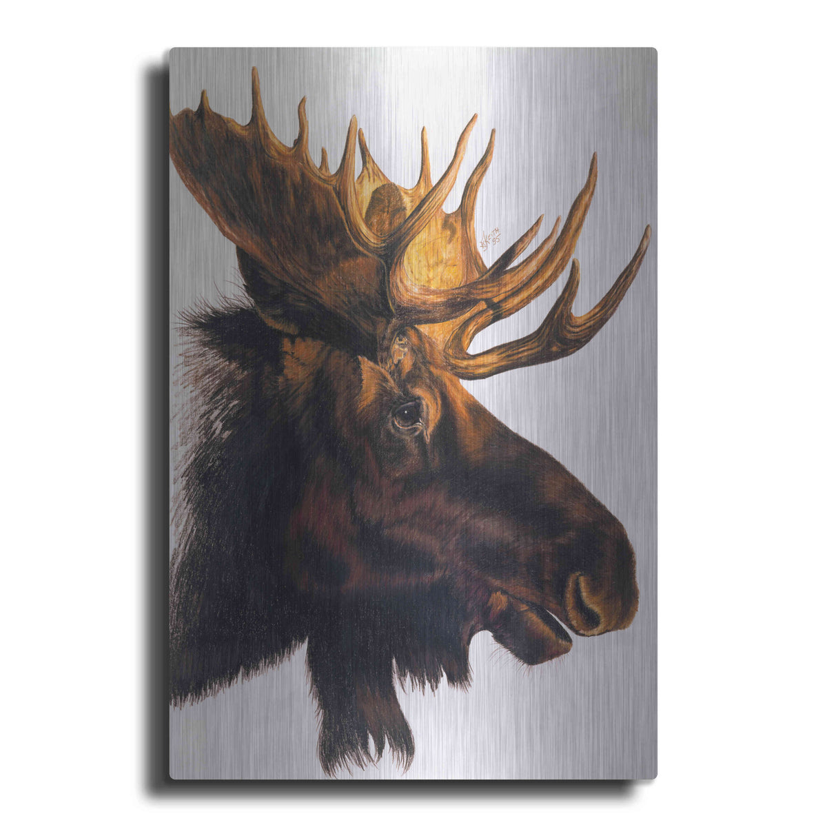 Luxe Metal Art 'Bullwinkle' by Barbara Keith, Metal Wall Art