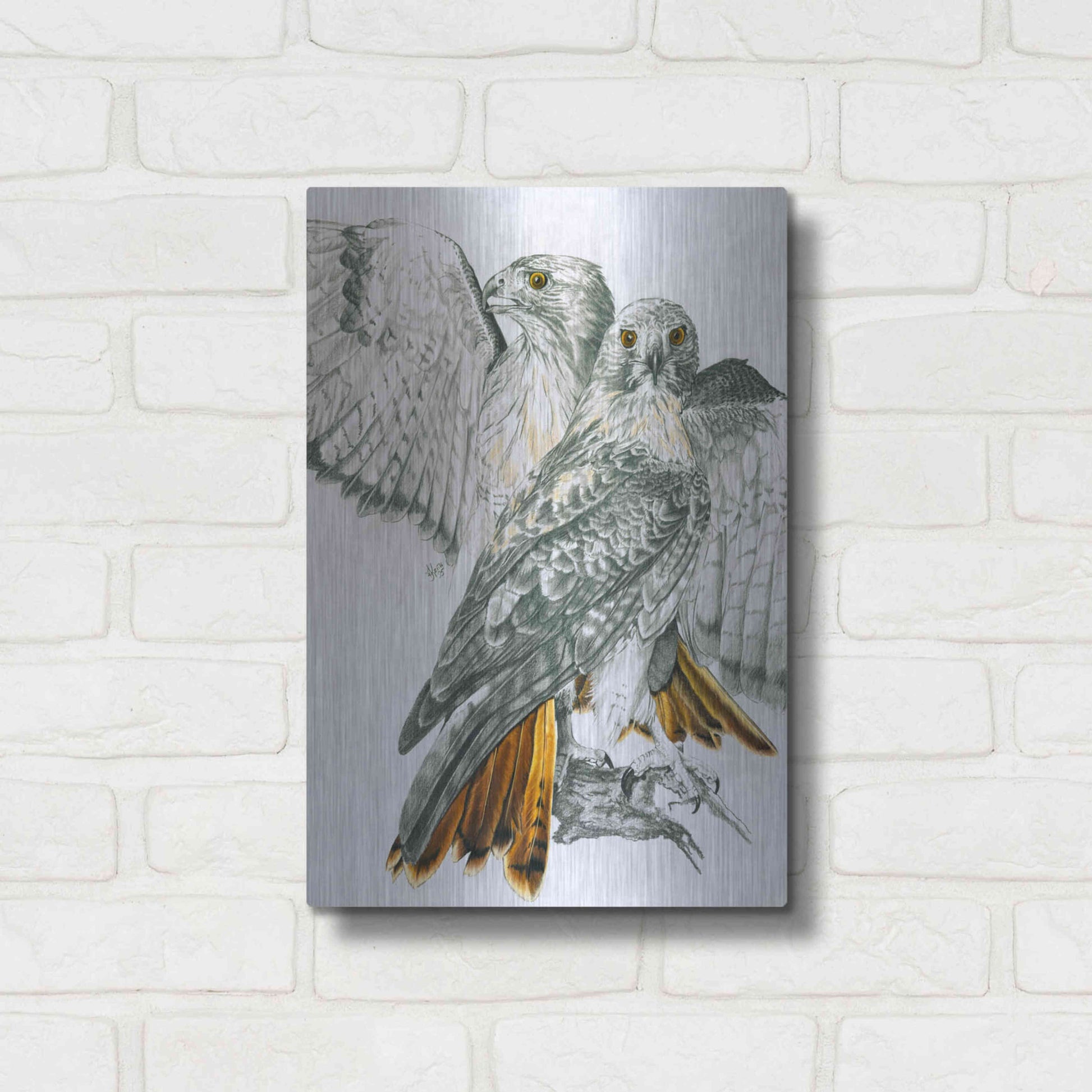 Luxe Metal Art 'Redtailed Hawk' by Barbara Keith, Metal Wall Art,12x16