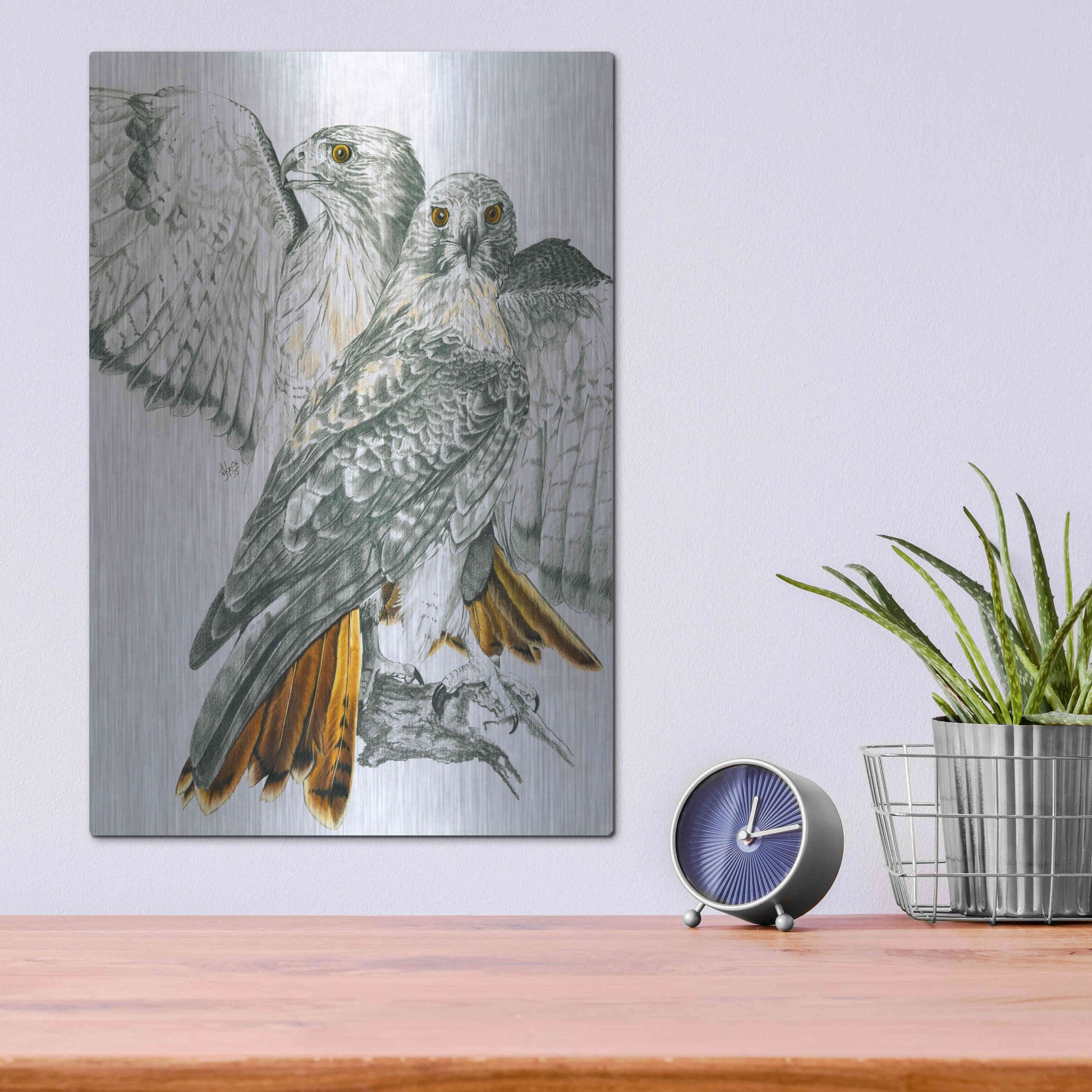 Luxe Metal Art 'Redtailed Hawk' by Barbara Keith, Metal Wall Art,12x16