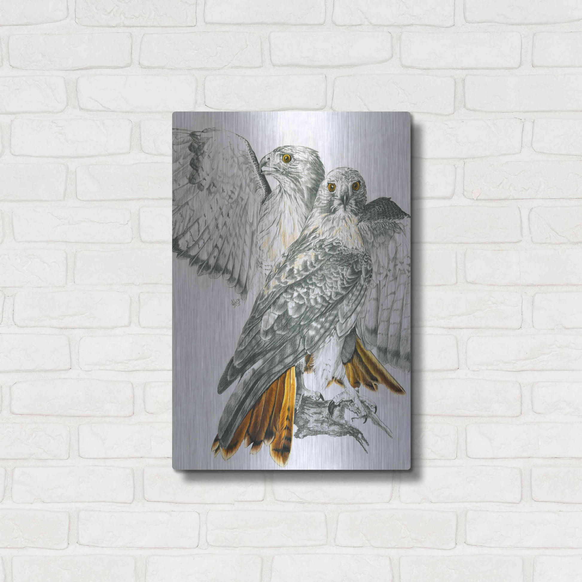 Luxe Metal Art 'Redtailed Hawk' by Barbara Keith, Metal Wall Art,16x24