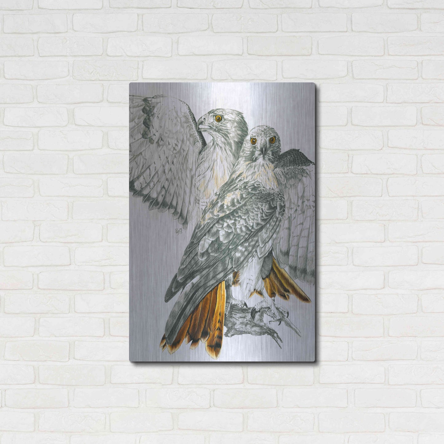 Luxe Metal Art 'Redtailed Hawk' by Barbara Keith, Metal Wall Art,24x36