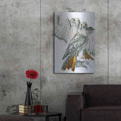 Luxe Metal Art 'Redtailed Hawk' by Barbara Keith, Metal Wall Art,24x36