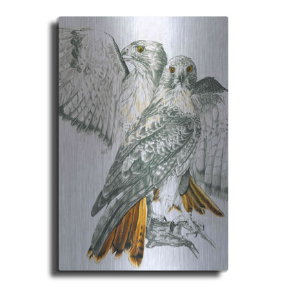 Luxe Metal Art 'Redtailed Hawk' by Barbara Keith, Metal Wall Art