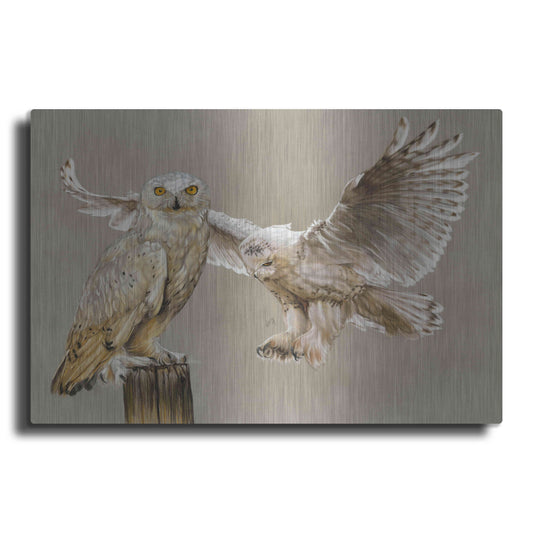 Luxe Metal Art 'Halcyon' by Barbara Keith, Metal Wall Art