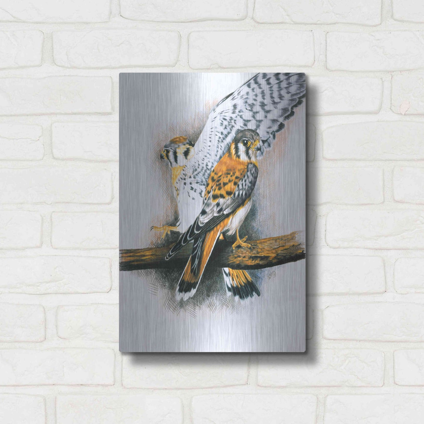 Luxe Metal Art 'Elegant Raptor' by Barbara Keith, Metal Wall Art,12x16