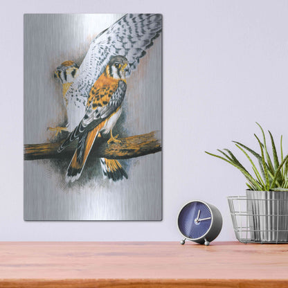 Luxe Metal Art 'Elegant Raptor' by Barbara Keith, Metal Wall Art,12x16