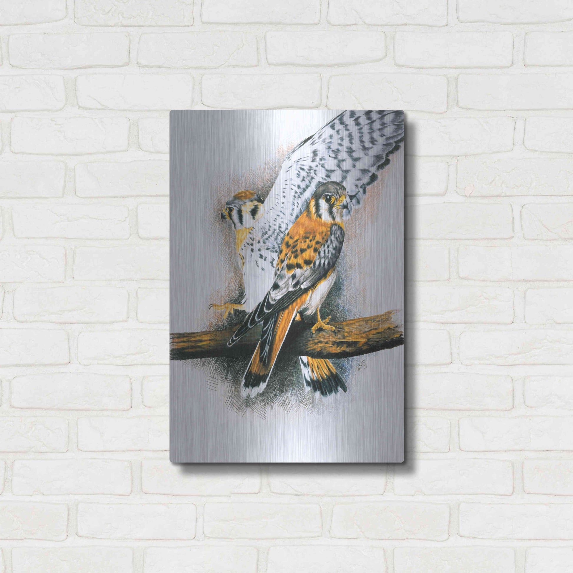 Luxe Metal Art 'Elegant Raptor' by Barbara Keith, Metal Wall Art,16x24