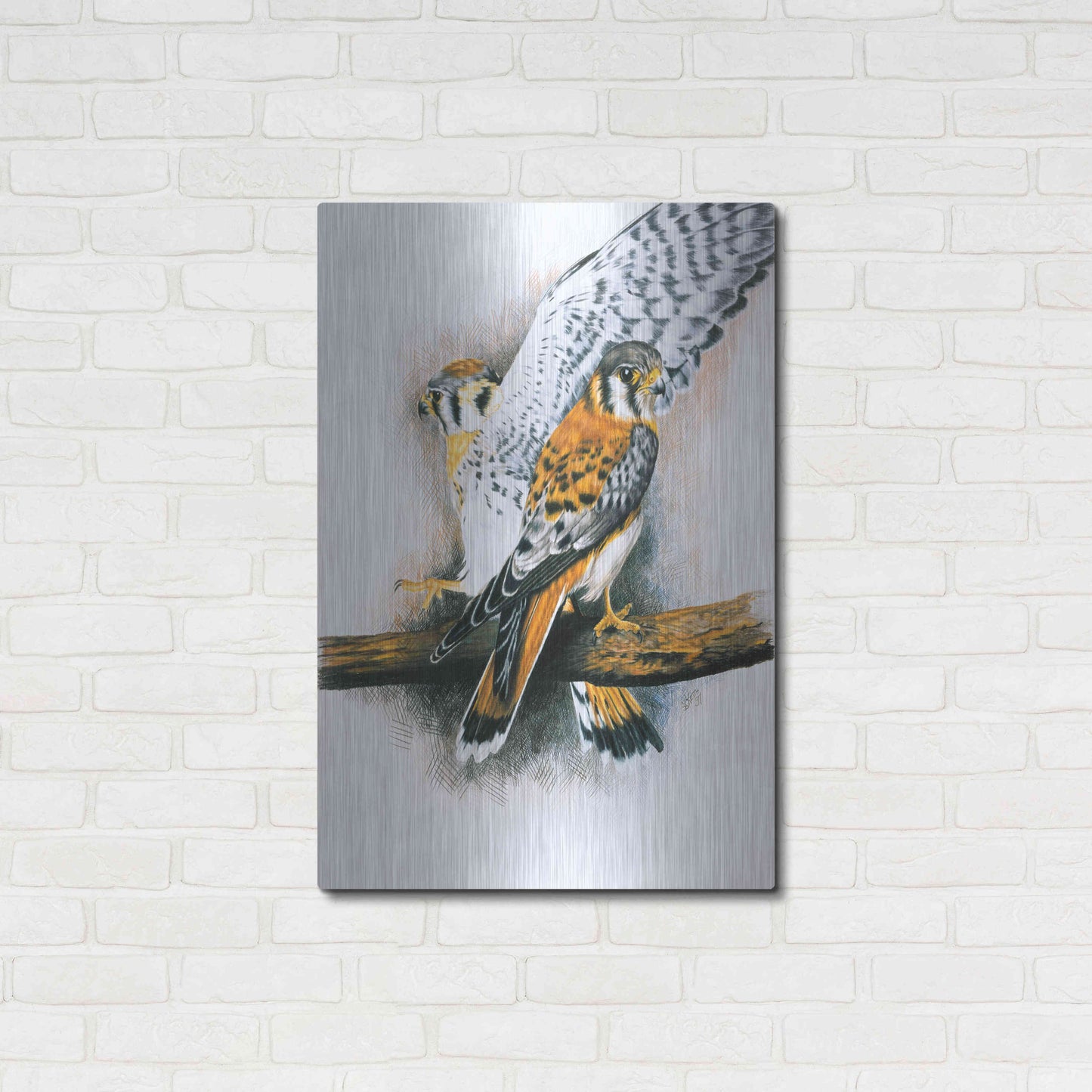 Luxe Metal Art 'Elegant Raptor' by Barbara Keith, Metal Wall Art,24x36