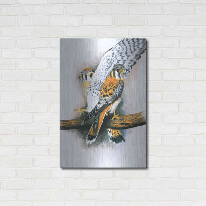 Luxe Metal Art 'Elegant Raptor' by Barbara Keith, Metal Wall Art,24x36