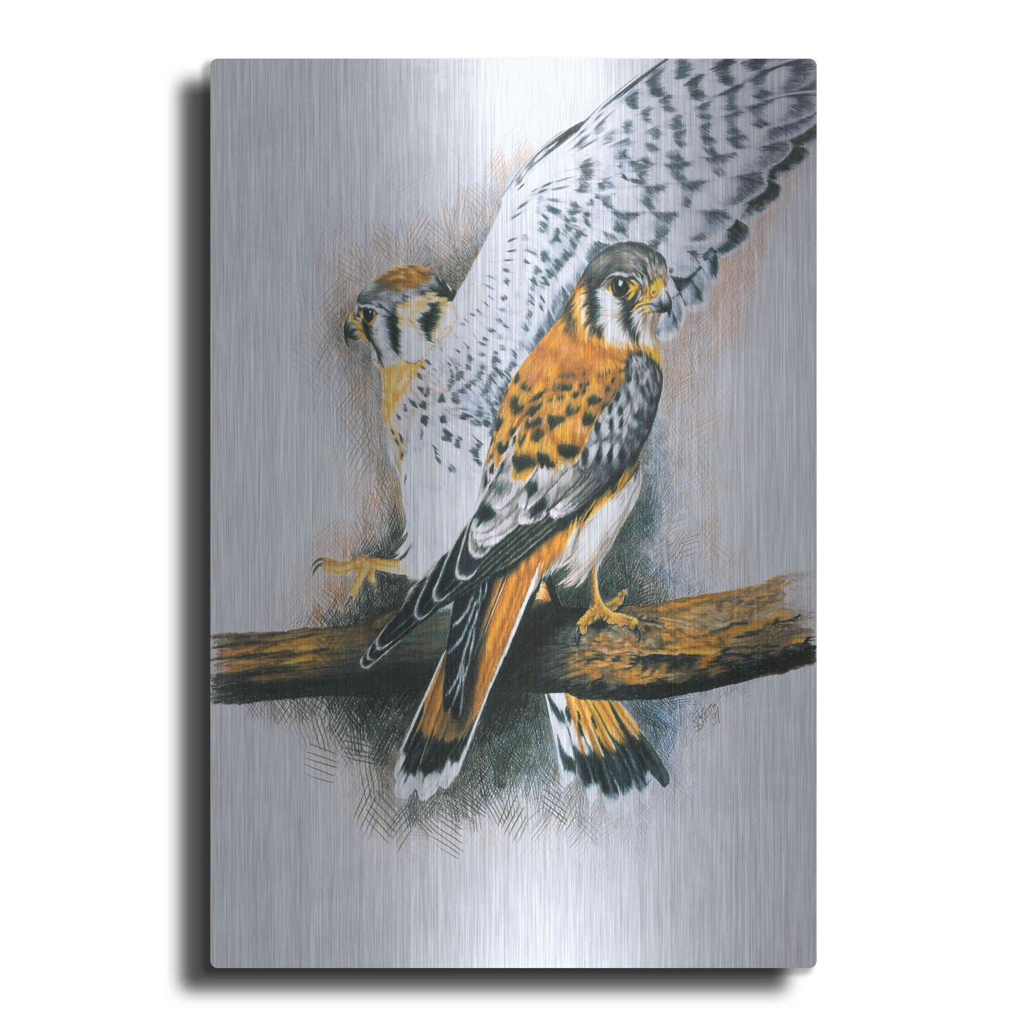 Luxe Metal Art 'Elegant Raptor' by Barbara Keith, Metal Wall Art