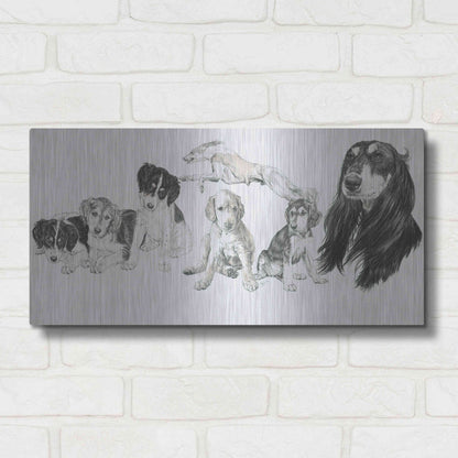 Luxe Metal Art 'Growing Up Saluki' by Barbara Keith, Metal Wall Art,24x12