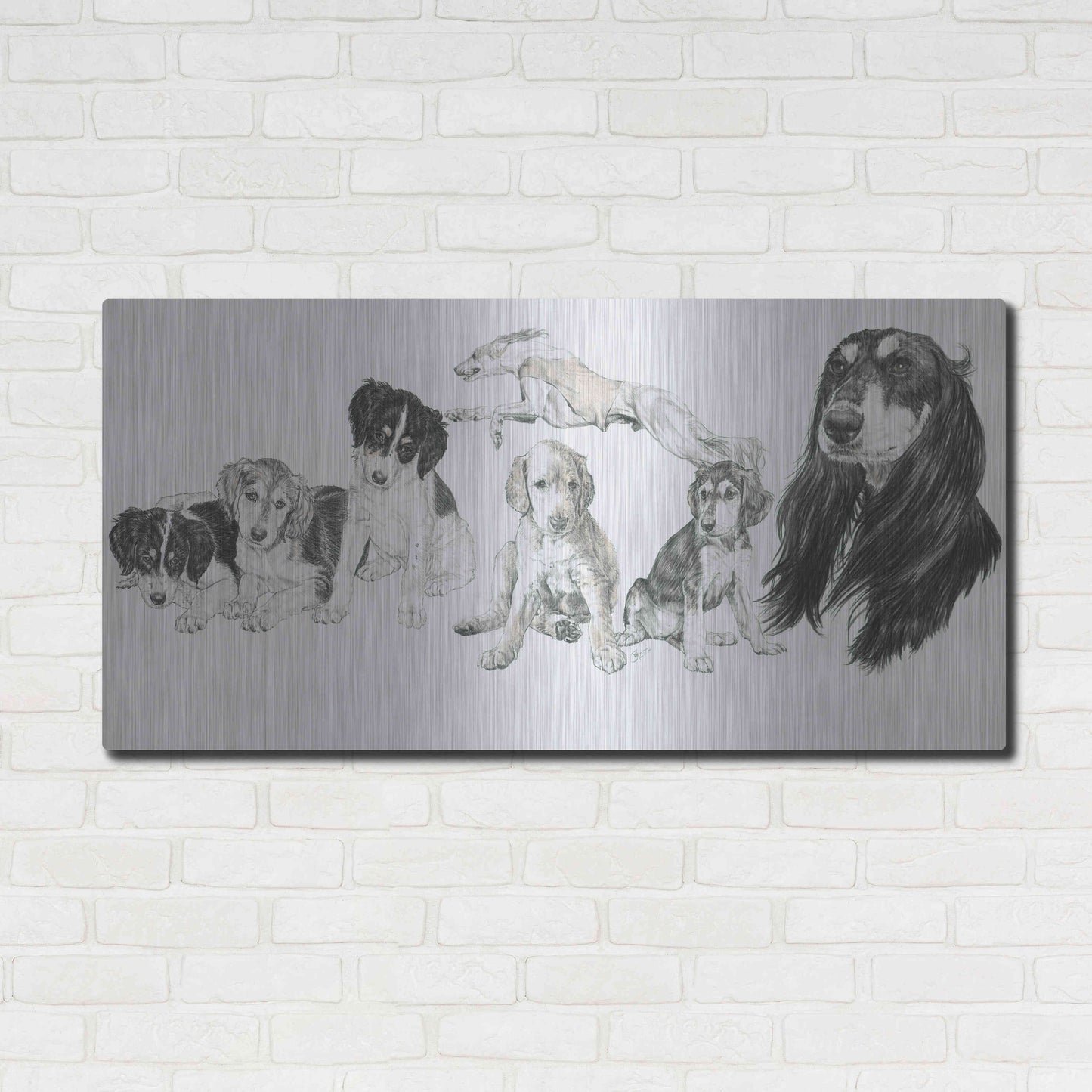 Luxe Metal Art 'Growing Up Saluki' by Barbara Keith, Metal Wall Art,48x24