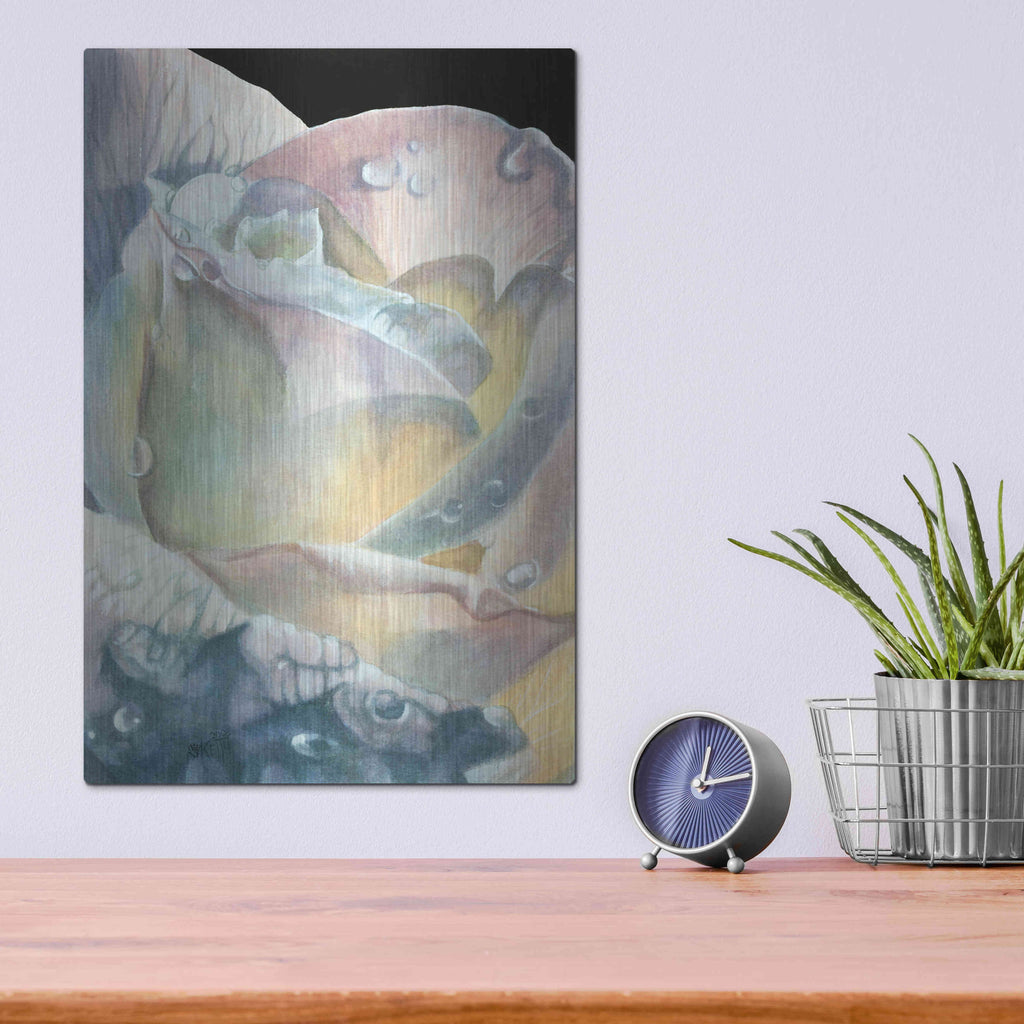 Luxe Metal Art 'Sparkler' by Barbara Keith, Metal Wall Art,12x16