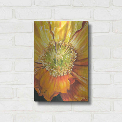 Luxe Metal Art 'Sunburst' by Barbara Keith, Metal Wall Art,12x16