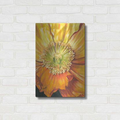 Luxe Metal Art 'Sunburst' by Barbara Keith, Metal Wall Art,16x24