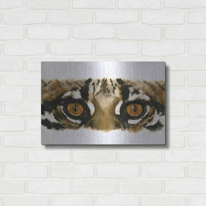 Luxe Metal Art 'Eye Catching Ocelot' by Barbara Keith, Metal Wall Art,24x16