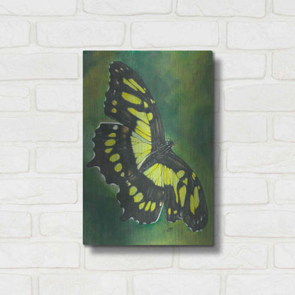 Luxe Metal Art 'Malachite Butterfly' by Barbara Keith, Metal Wall Art,12x16