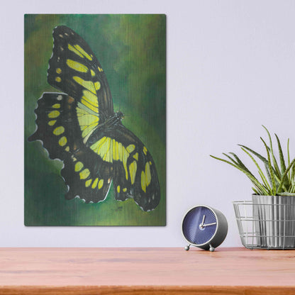 Luxe Metal Art 'Malachite Butterfly' by Barbara Keith, Metal Wall Art,12x16