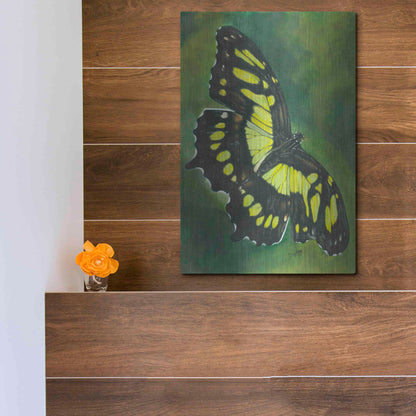 Luxe Metal Art 'Malachite Butterfly' by Barbara Keith, Metal Wall Art,12x16